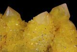 Sunshine Cactus Quartz Crystal - South Africa #96259-2
